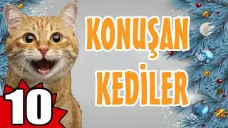 KONUŞAN KEDİLER 10 - EN KOMİK KEDİ VİDEOLARI