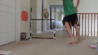 Cat agility, Mela my lil crazy kitty :p