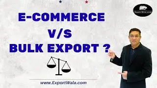 E-commerce or Bulk Export ? Hindi | Exportwala | Ankit Sahu |