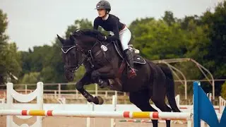 13 Most Expensive Horses in The World | Horse Lovers | Equestrian
