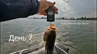 Two days of fun fishing. Day two.