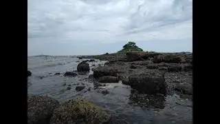 No Sheep on Sheep Island?!...Boston Harbor Islands by Kayak