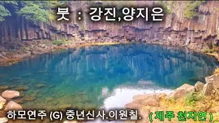 붓:강진,양지은 하모니카연주(G)중년신사.이원칠