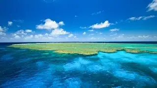 Cairns - Great Barrier Reef