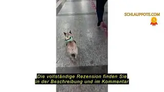 Produktbewertung ZONEWD Rucksack f&uuml;r Hunde | Hundewanderrucksack | Schultasche f&uuml;r Welpen, wasserdic