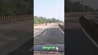 Goa #shorts #roadtrip #goa