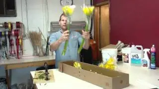 How To Prepare Calla Mini Yellow from Columbia - lwflowers.com
