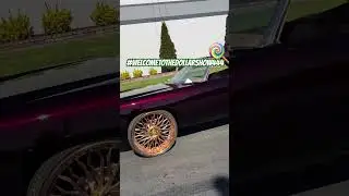 ￼#Candy #Coated #Chevy #Caprice #Classic #Impala #Vert #Donk #on #Daytons #gold #daytonwirewheels