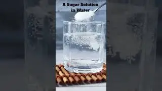 Sugar under microscope! #scienceshorts #science #nature