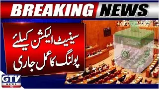 Senate Elections 2025 | Polling Underway for Vacant Seat In Punjab | Breaking News