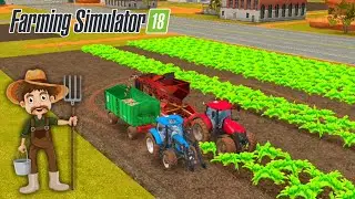 Sugarbeat Harvesting In FS 18 | FS18 Gameplay | Farming Simulator 18 | FS18 Timelapse #shorts
