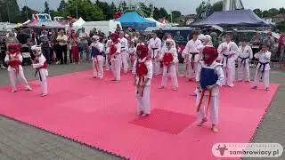 Pokaz karate - 28. Dni Zambrowa