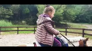 pony training in a round arena