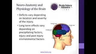 Brain Injury Screenings and Assessments