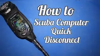 How to repair a leaking scuba computer quick disconnect.