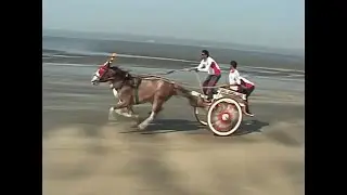 Alibaba & Sarkar Horse Race at Gorai Beach.