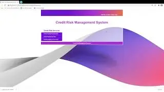 Credit Risk Management System