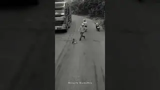 Real Life Heroes: Watch This Miraculous Save!  #kindness #gooddeeds #humanity #animals