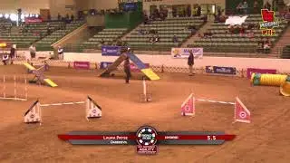 DareDevil HYBRID NAC AKCNAC2018
