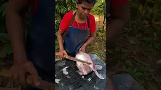 കരിമീന്റെ തൂക്കം 1.7 KG 😱 #fish #karimeen #fishcutting #bigfish #shortsviral