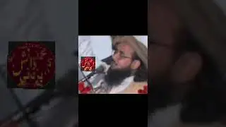 hafiz Abdul rauf yazdani Sahab Muhammad Danish yazdani #بیانات #followme #answer #likeme #allbayan