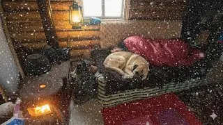 Trapped in a Killer -42&deg;C Blizzard | Wolves Hunt Me in an Off-Grid Cabin!