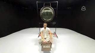 Harmonium by Aaron Horn Immersive Wellbeing Sessions