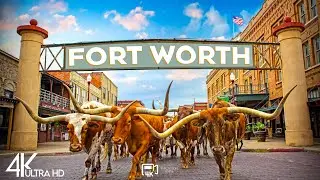 Top 10 Best Things to Do in Fort Worth, Texas [Fort Worth Travel Guide 2025]
