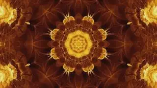 Eternal Motion (Psyprogressive Trance / Goa Trance)