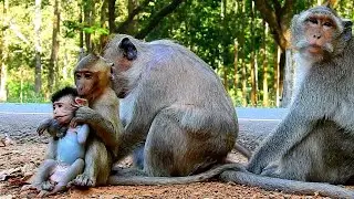Smart Jassoon when stay nearby the road, He trying to look after babyy Jesmiinn