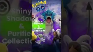 Коллекция Shiny Shadow/Purified! #pokemongo #pokemon #shiny #fyp #shinycollector #shadow #purified