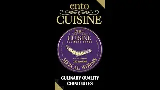 EntoCuisine | Chinicuiles (The Worm) | Edible Insects