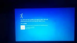 Tweetie Bird Has Been Roasted By A Red Laser Beam Screaming Has A BSOD 