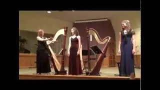 Pirates of the Caribbean on three harps