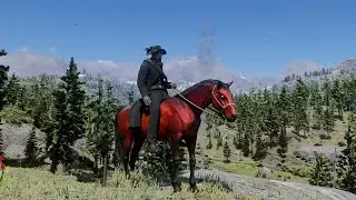 2 Unique Horses With Map Locations In Red Dead Redemption 2