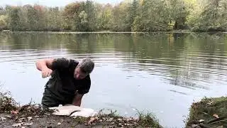 Un esturgeon &eacute;norme!!! 😁🎣🎣🎣 magnifique poisson 