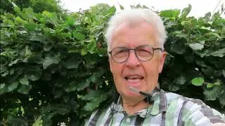 2021 08 13 Lichtwunder in Creglingen an der Tauber