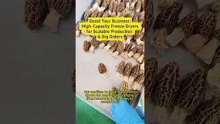 Mushroom Freeze Drying Demo &ndash; Full Process in Action! 🍄🎬