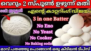 ഇങ്ങനെ ചെയ്യൂ വെറും 2സ്പൂൺ ഉഴുന്ന് മതി ലിറ്റർ കണക്കിന് മാവ് മിക്സിയിൽ അരച്ചെടുക്കാം |viral tips