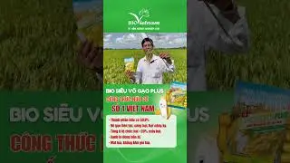 Trải Nghiệm Của B&agrave; Con Sau Khi D&ugrave;ng Ph&acirc;n B&oacute;n Bio Việt Nam #congtybiovietnam #phanbonlua #ph&acirc;nb&oacute;nl&aacute;