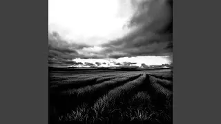 depthless contrived despondency