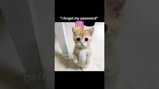 &ldquo;i forgot my password&rdquo;