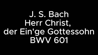 J. S. Bach 