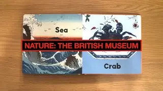 THE BRITISH MUSEUM COLLECTION: NATURE (Board Book) #bookflip