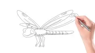 Рисунок стрекозы // Как нарисовать стрекозу шаг за шагом //dragonfly@babylearningindia