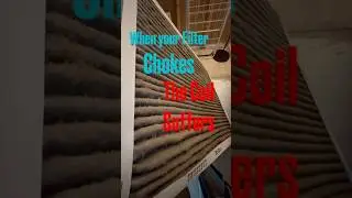 AC Not Cooling? Dirty Filters Are the #1 Reason | Elite Service Group