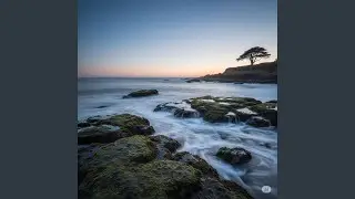 The Timeless Tide
