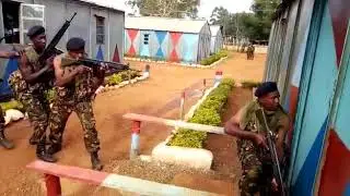 Kdf soldiers special forces