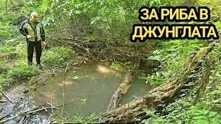 Риболов в Генгерлика. Змия мина до мен, но не ме ухапа! Големи риби се спотайват под паднало дърво!
