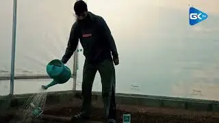 Братья и сестры Анантнага отказываются от конкурентной борьбы за работу, чтобы обеспечить себе ст...
